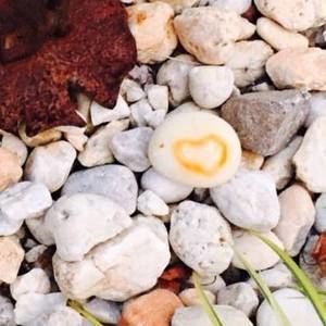 Meet your Posher, Colleen